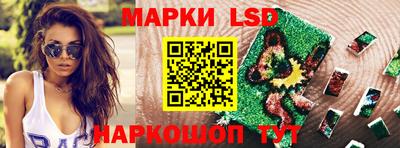 стафф Можга