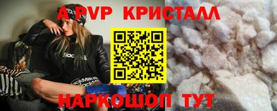СК Моздок