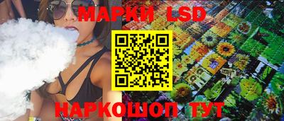 стафф Можга