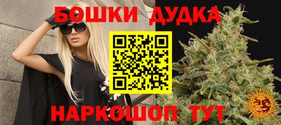СК Моздок