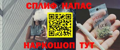 СК Моздок