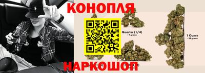 стафф Можга