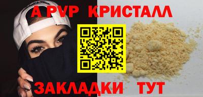СК Моздок