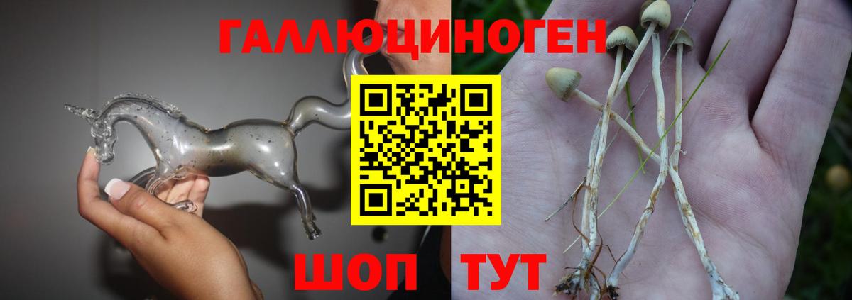 Псилоцибиновые грибы GOLDEN TEACHER Сегежа