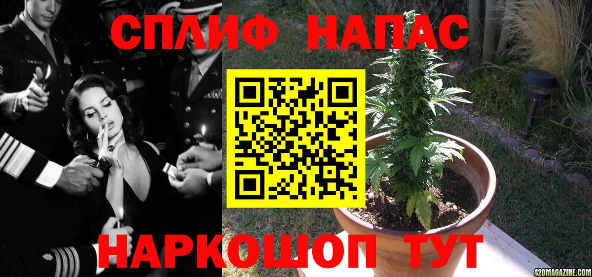 Бошки марихуана планчик Сегежа